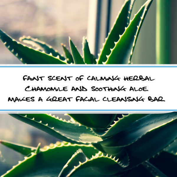CHAMOMILE + ALOE | Charcoal Goat Milk Bar