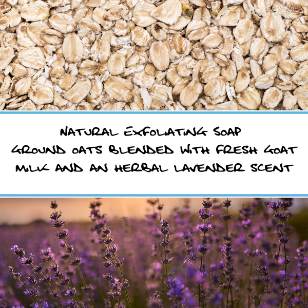 LAVENDER OATMEAL | GOAT MILK BAR