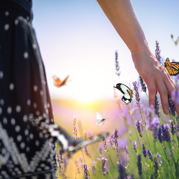 FRENCH LAVENDER HONEY PERFUME