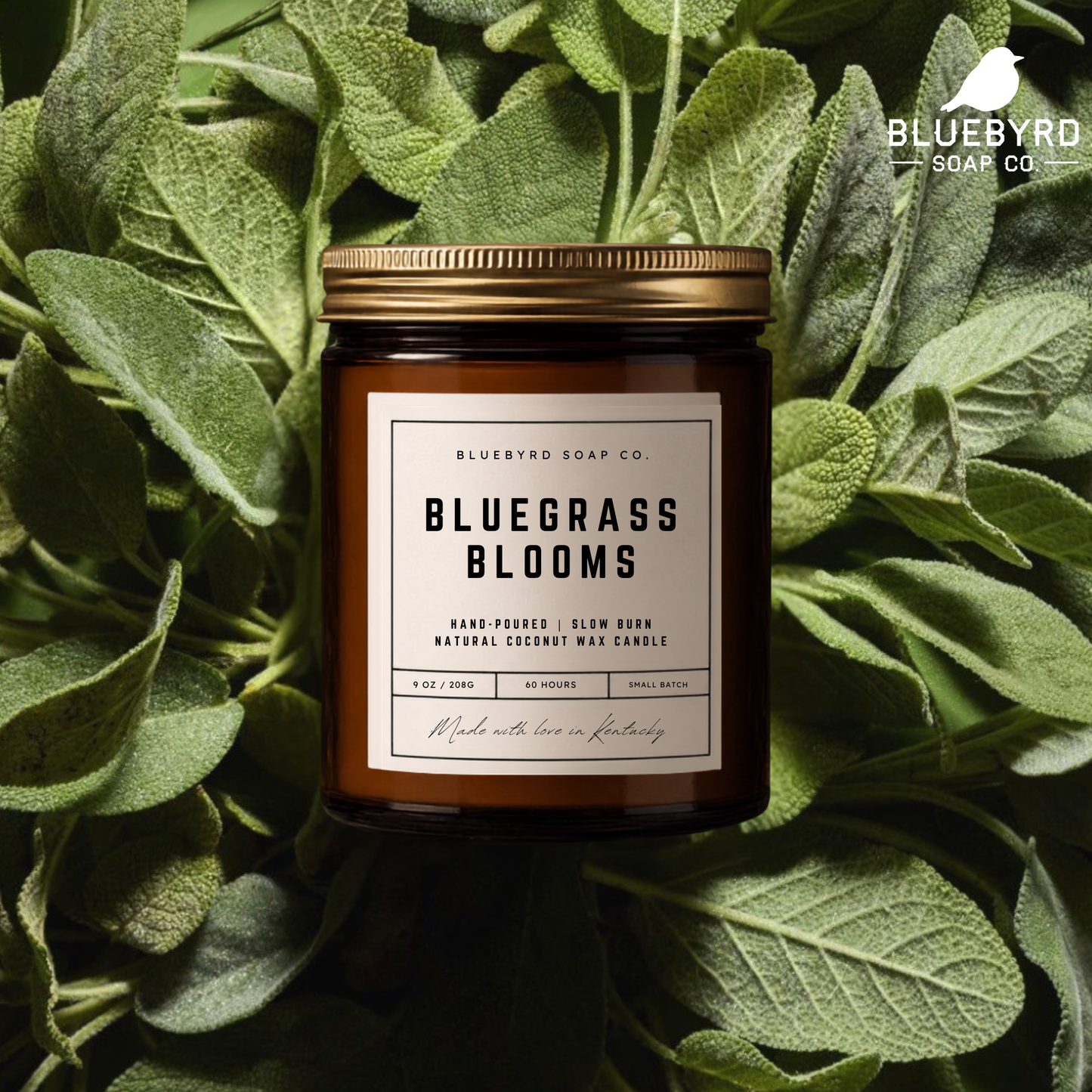 MOONBOW ALCHEMY CANDLE | Hand-Poured Coconut Wax Blend 9oz.