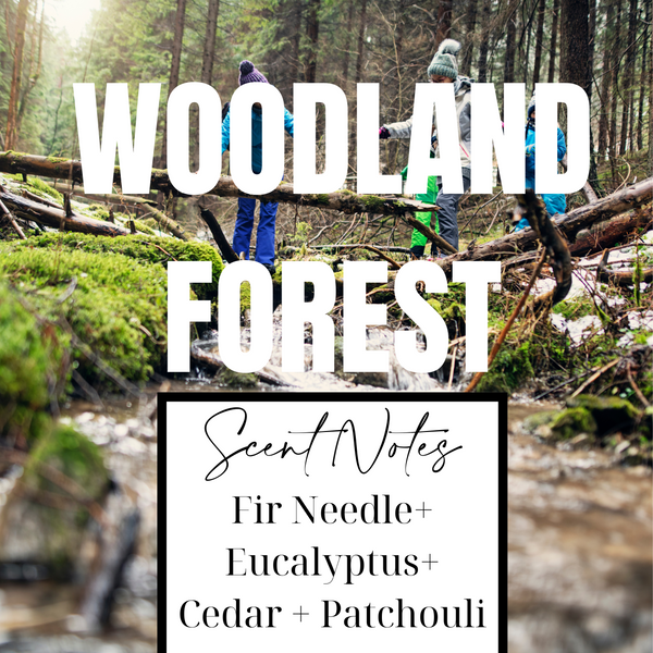 woodland forest coconut wax candle - white birch and fir scented candle