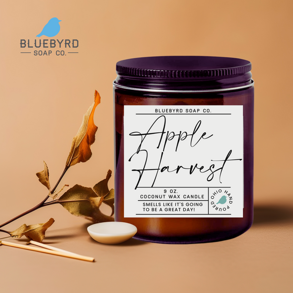 APPLE HARVEST FALL SCENTED CANDLE JAR | Autumn Apples Spiced Coconut Wax Candle Highly Scented