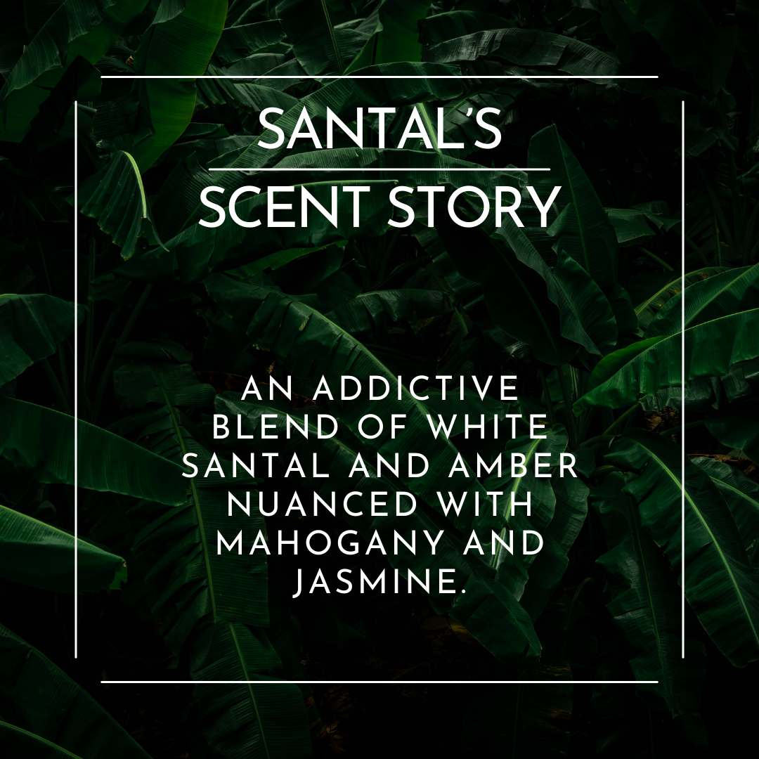WHITE SANTAL | Luxury Home Diffuser Oil Blend
