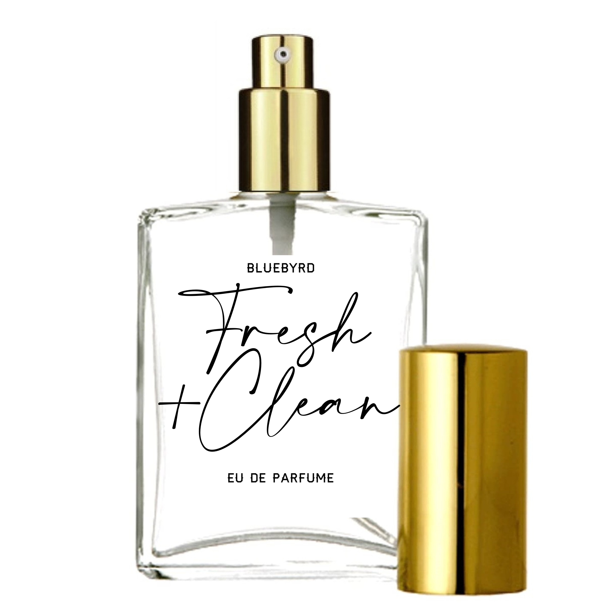 FRESH & CLEAN | Eau de Parfume Spray & Perfume Oil