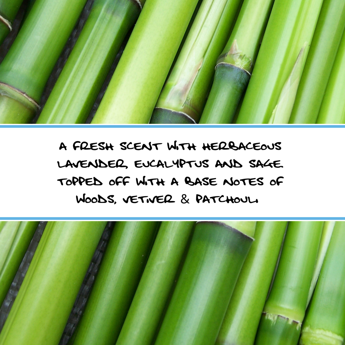 BAMBOO AND CLAY | Bar Soap
