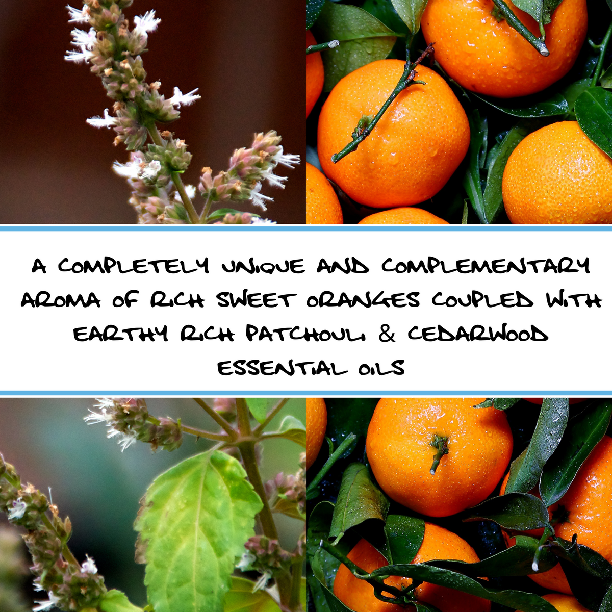 ORANGE PATCHOULI | Bar Soap