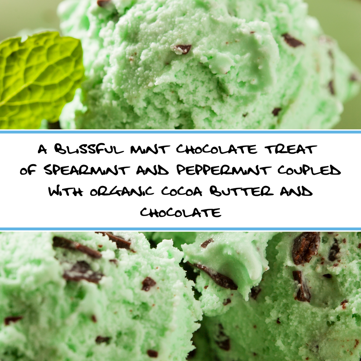 CHOCOLATE MINT | Bar Soap
