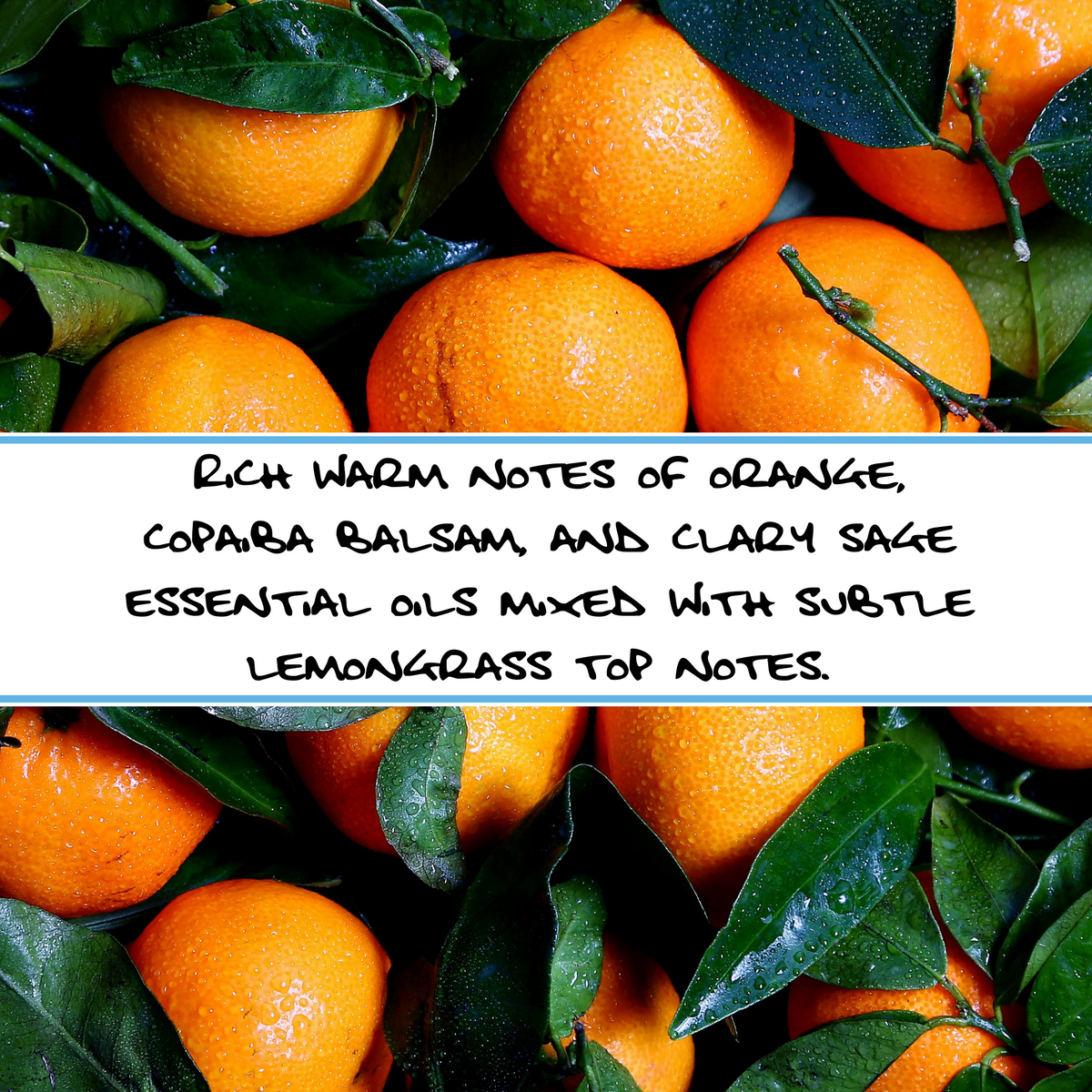 CITRUS + ROSEHIPS | Neem Bar Soap
