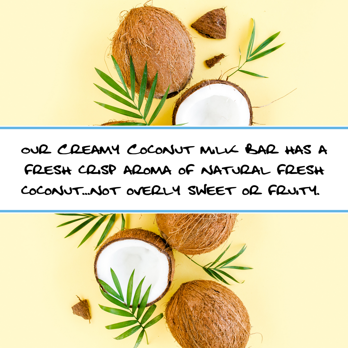COCONUT MILK | Bar Soap
