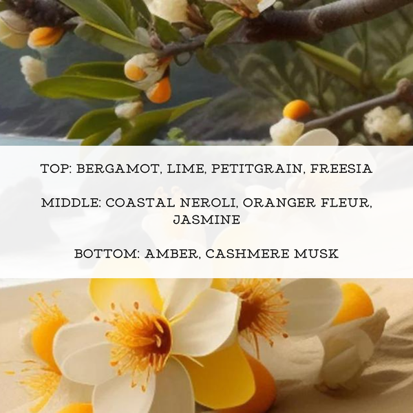 COSTAL NEROLI + AMBER PERFUME