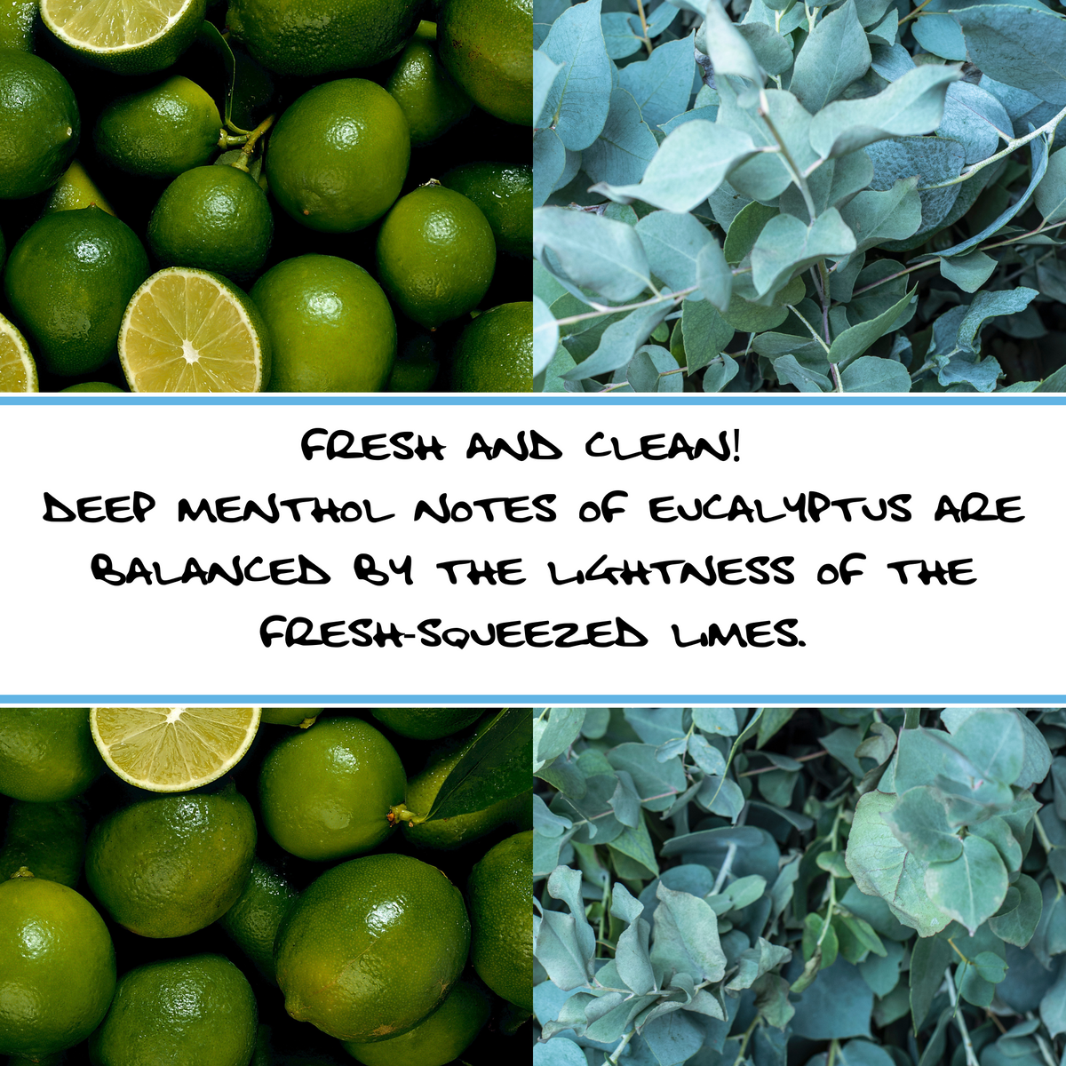 EUCALYPTUS + LIME | Shampoo + Body Bar