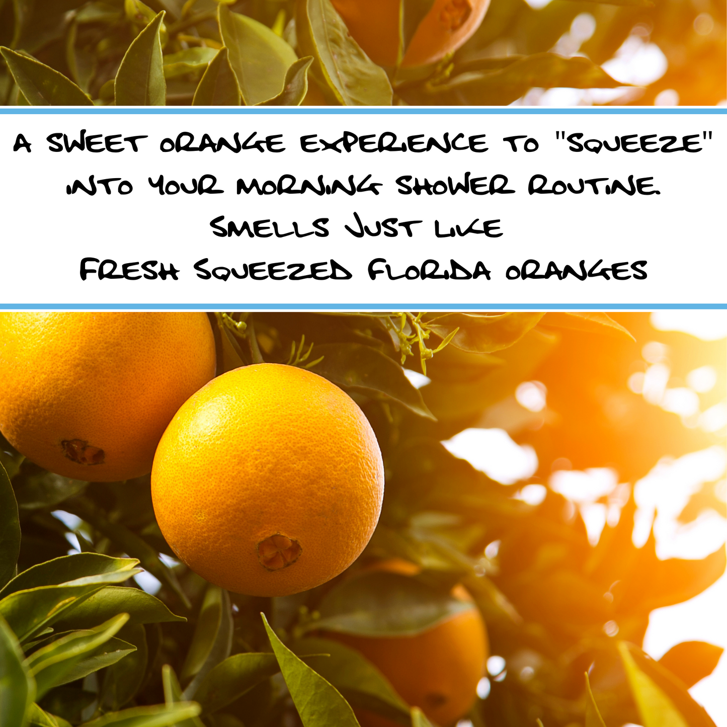 FLORIDA ORANGE SUNRISE - 100% ALL NATURAL ORANGE SOAP BAR