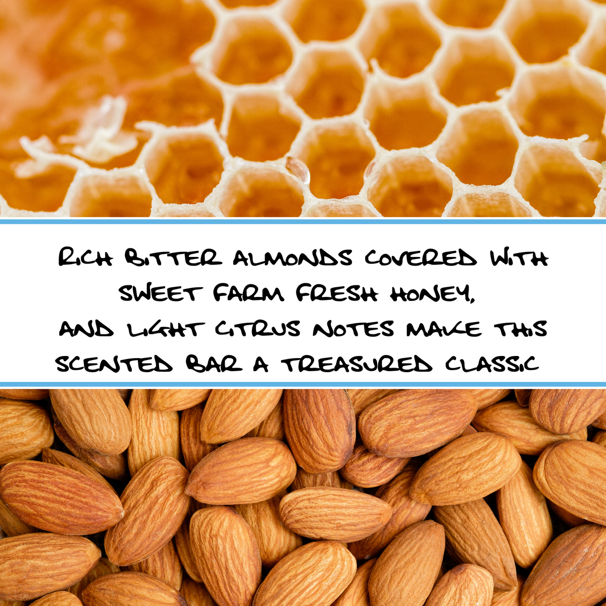 WILD HONEY + ALMOND | Bar Soap
