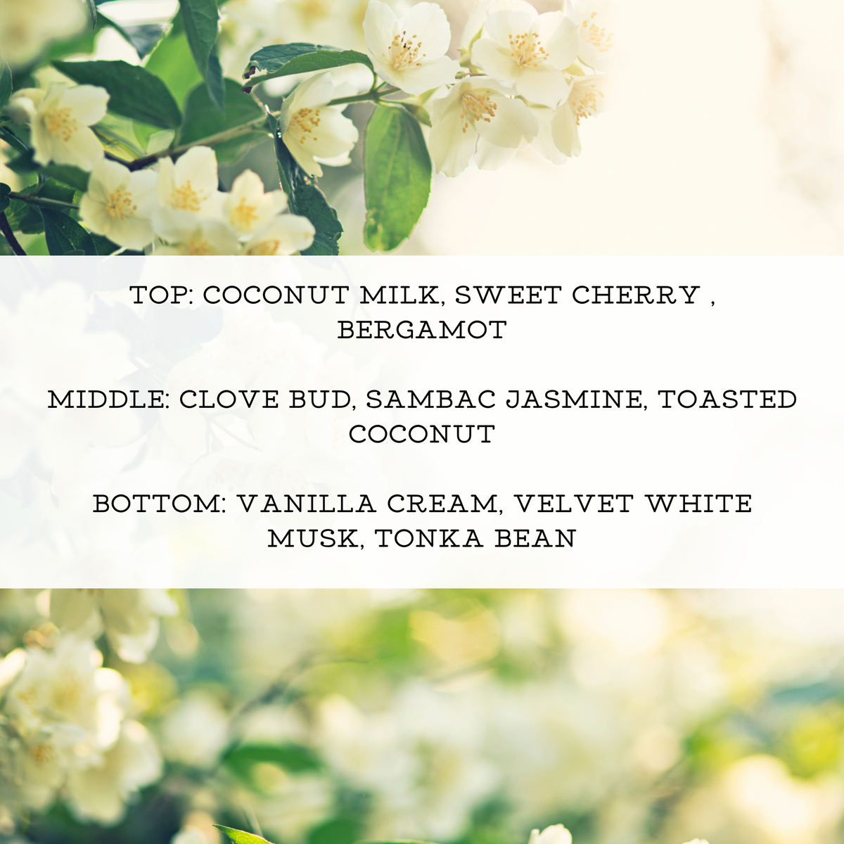 JASMINE + COCONUT PERFUME