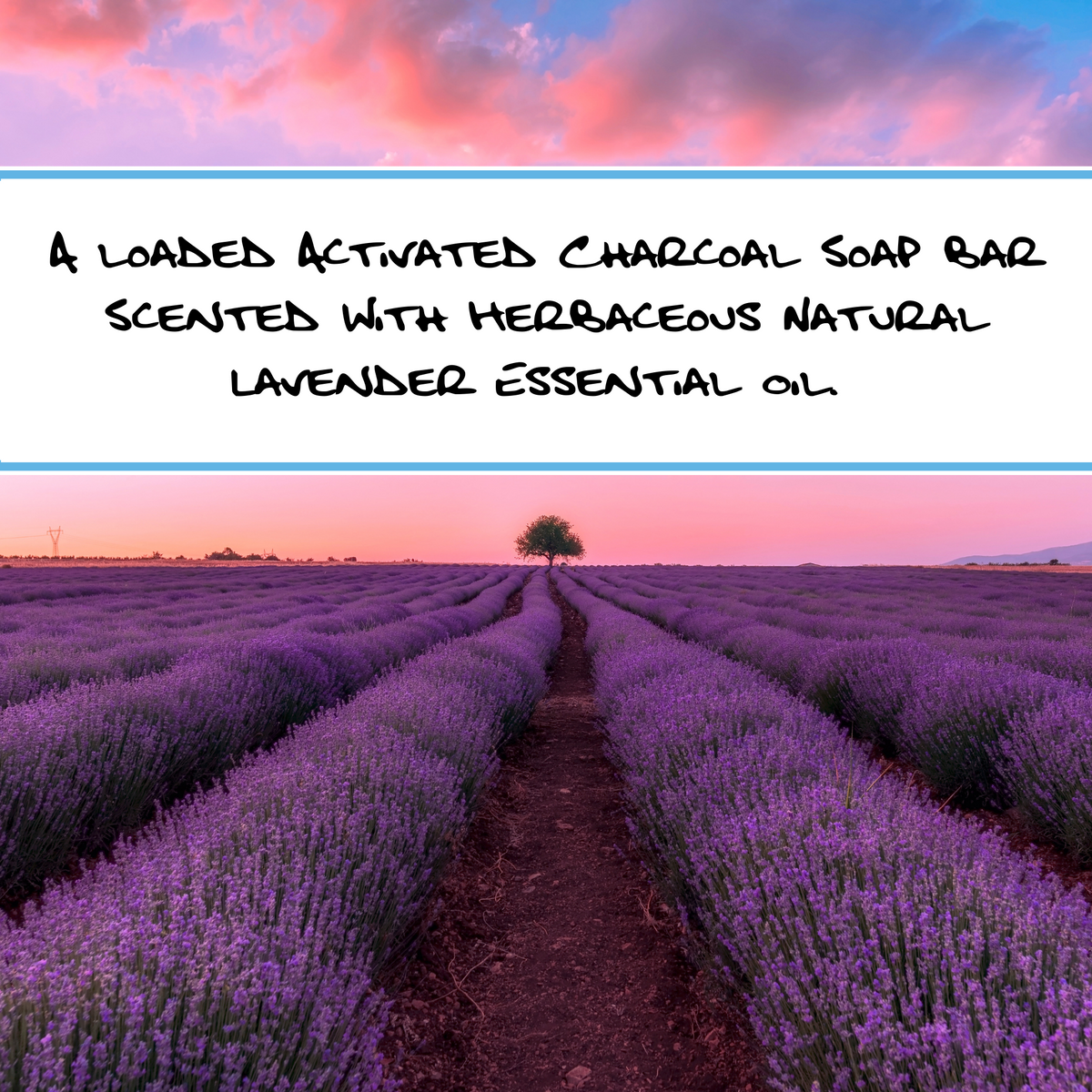 LAVENDER CHARCOAL | Detoxifying Bar Soap