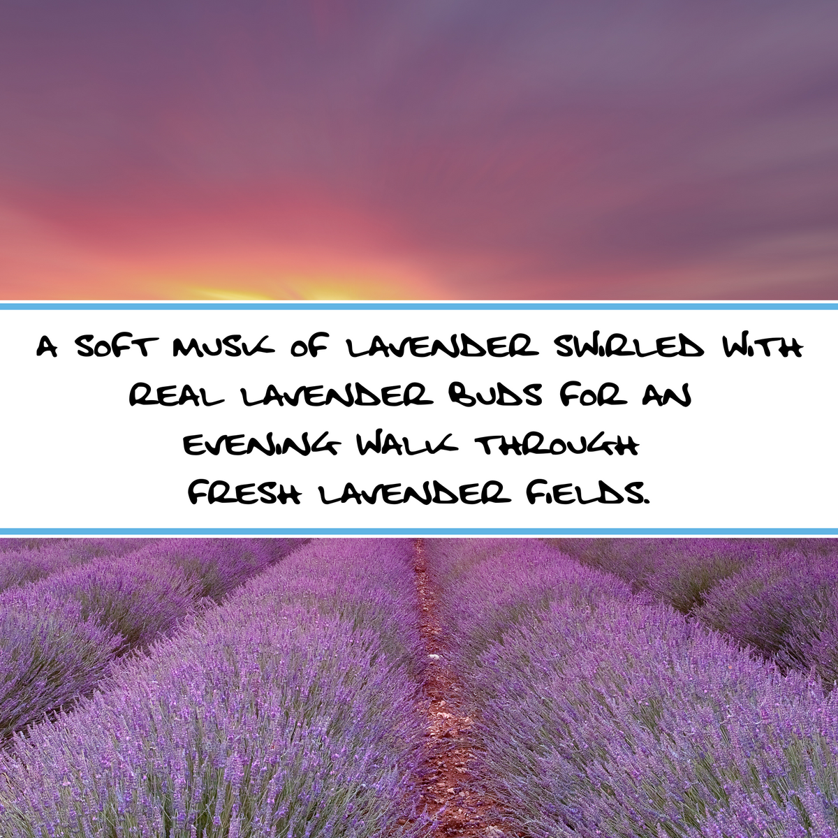 LAVENDER HAZE | Bar Soap