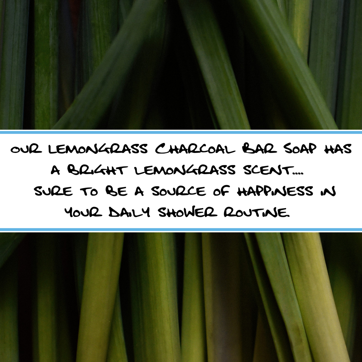 LEMONGRASS CHARCOAL | Detoxifying Bar Soap