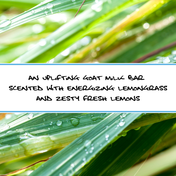 LEMONGRASS GOAT MILK BAR