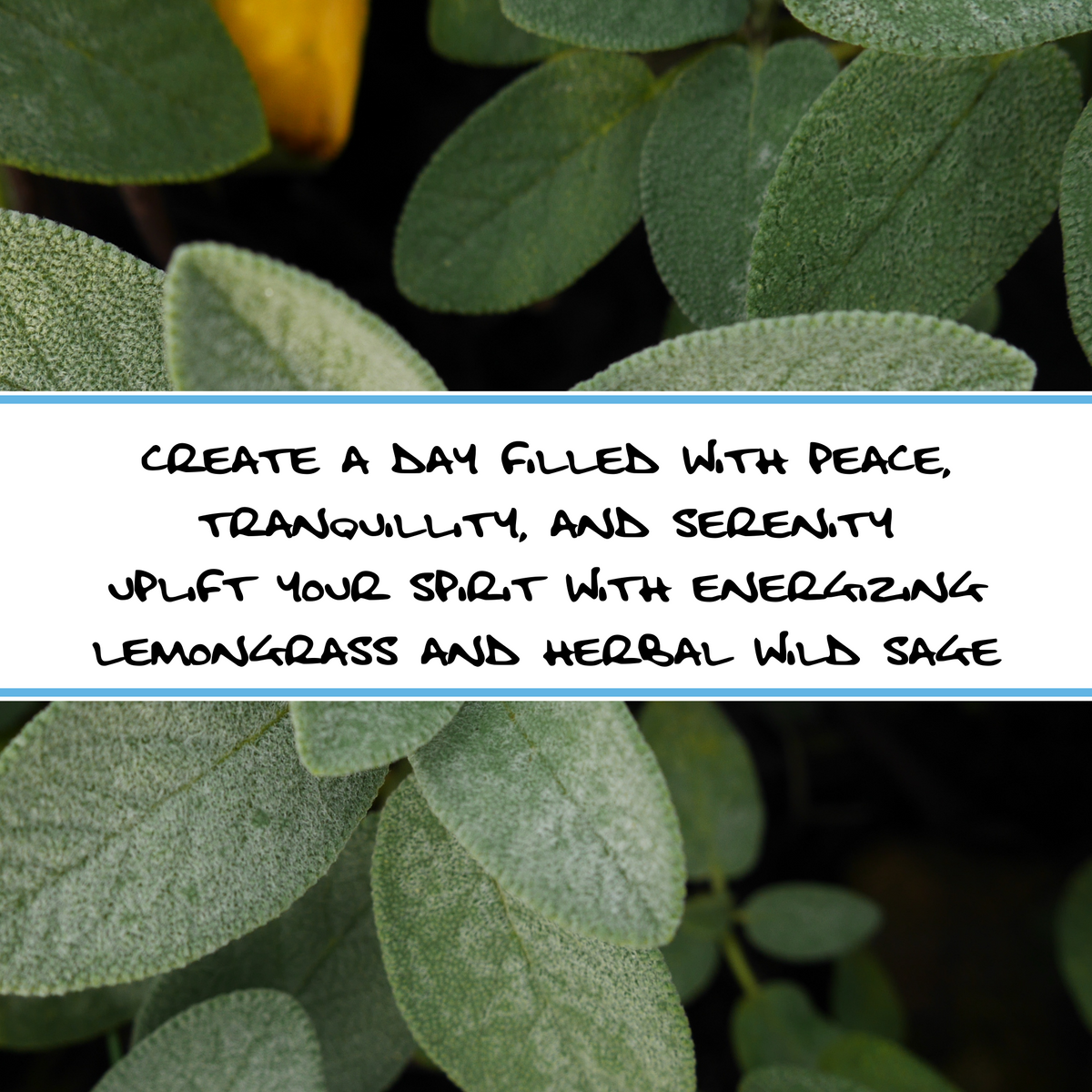 LEMONGRASS + WILD SAGE | Sacred Smudge Bar