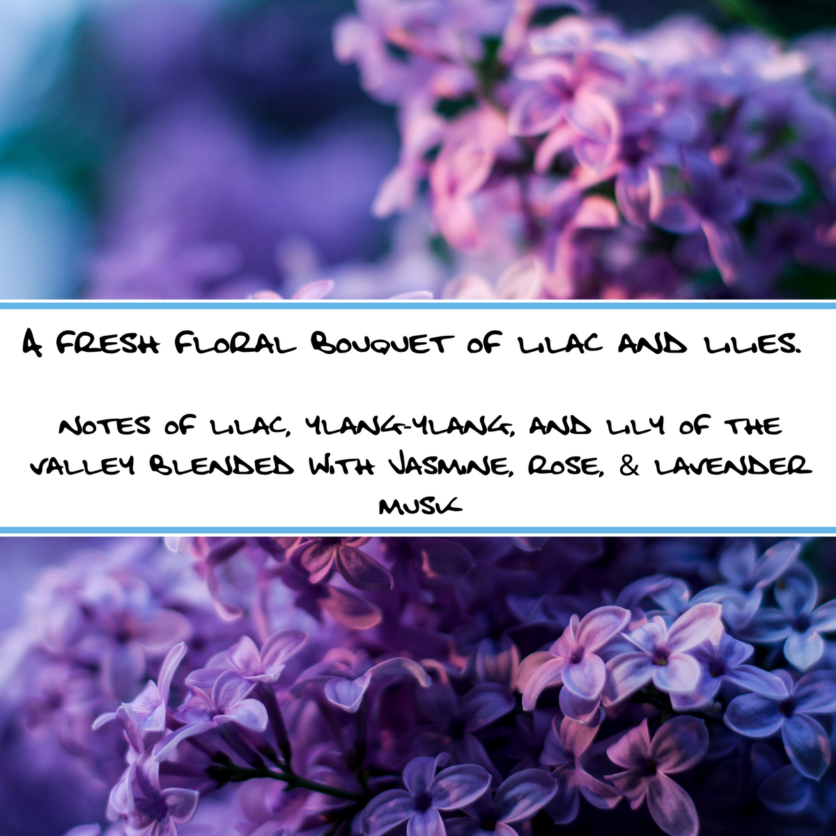LOVELY LILAC | Bar Soap