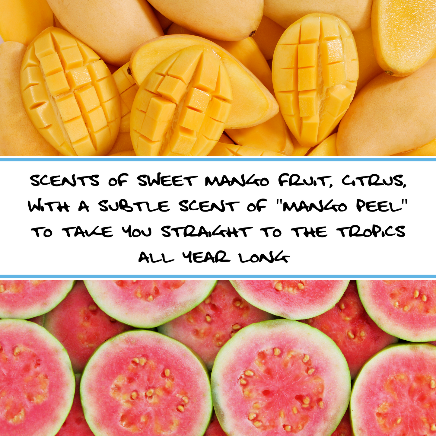 MANGO GUAVA SOAP BAR