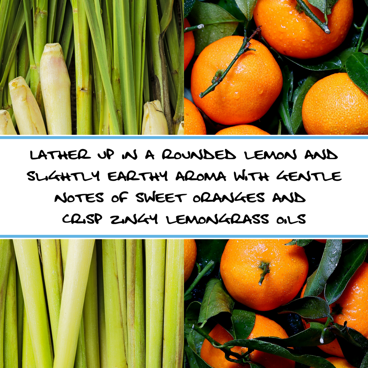 ORANGE + LEMONGRASS | Goat Milk Bar