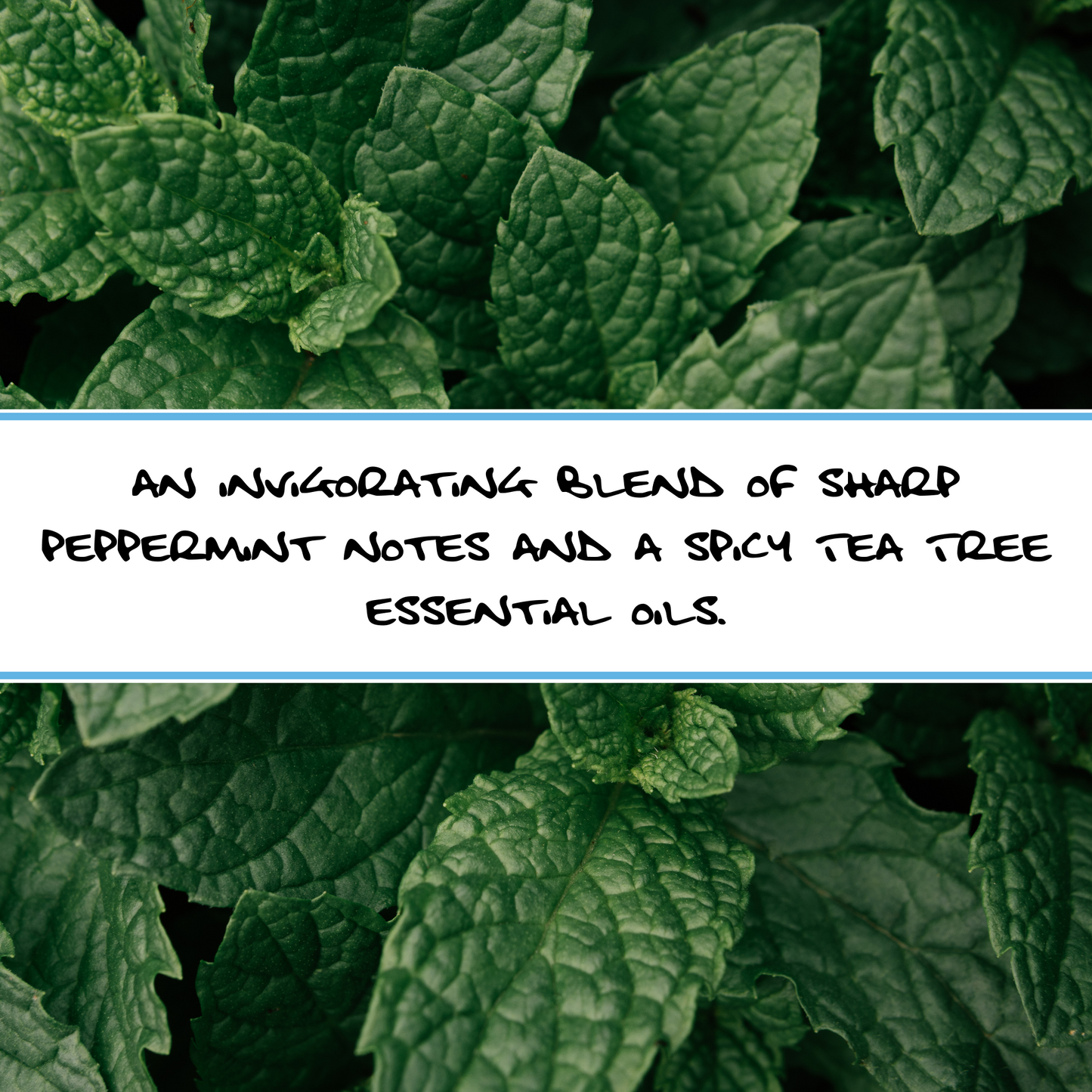 PEPPERMINT TEA TREE | ORGANIC BAR SOAP