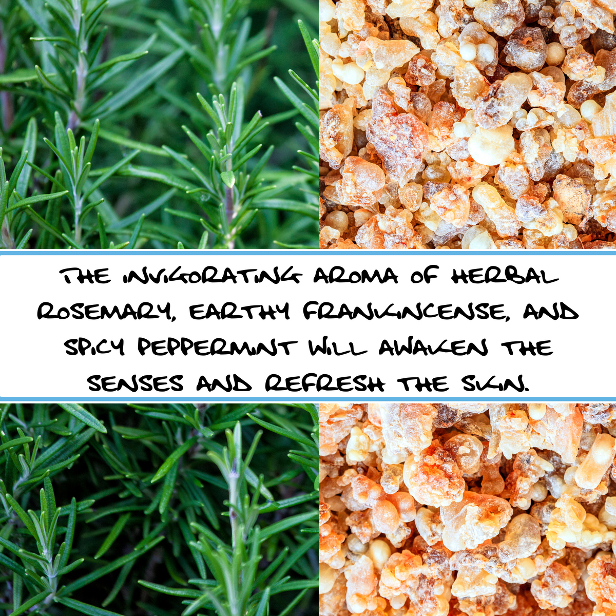 ROSEMARY MINT + FRANKINCENSE | Organic Bar