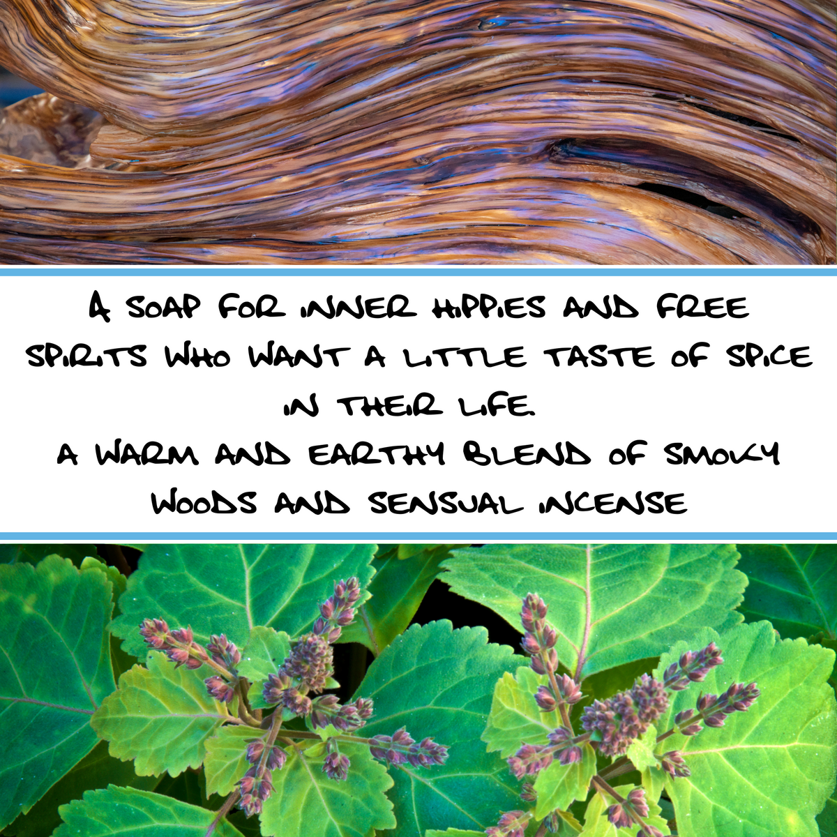 PATCHOULI SANDALWOOD | Exfoliating Bar Soap