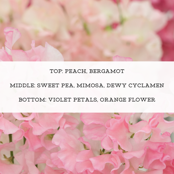 SWEET PEA PERFUME | Eau de Parfume Spray & Perfume Oil