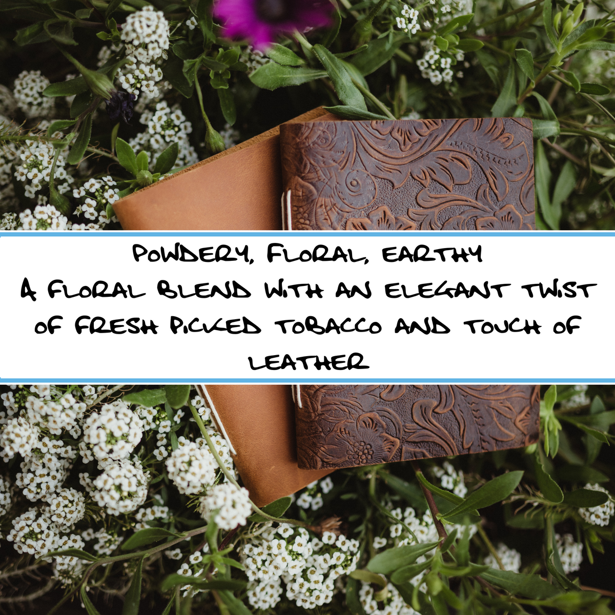 TOBACCO FLOWER BLOSSOM | Bar Soap