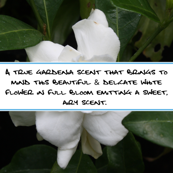 WHITE GARDENIA SOAP BAR