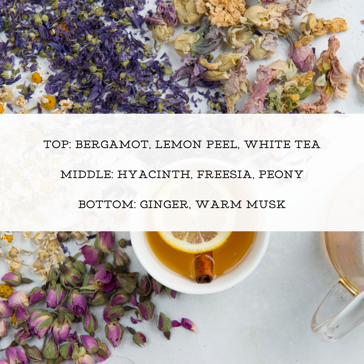 WHITE TEA + GINGER PERFUME