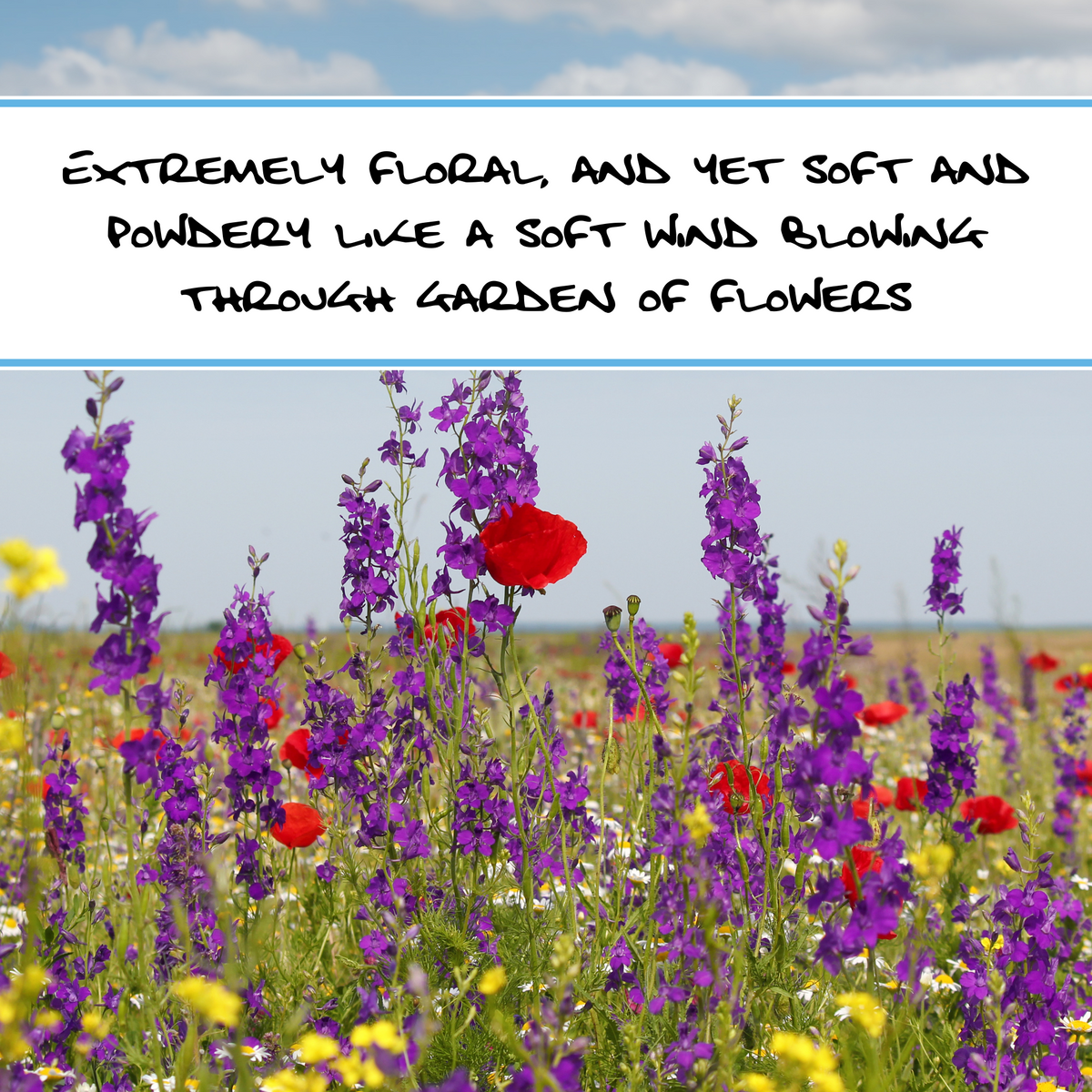 WILDFLOWER CHILD | Exfoliating Bar Soap