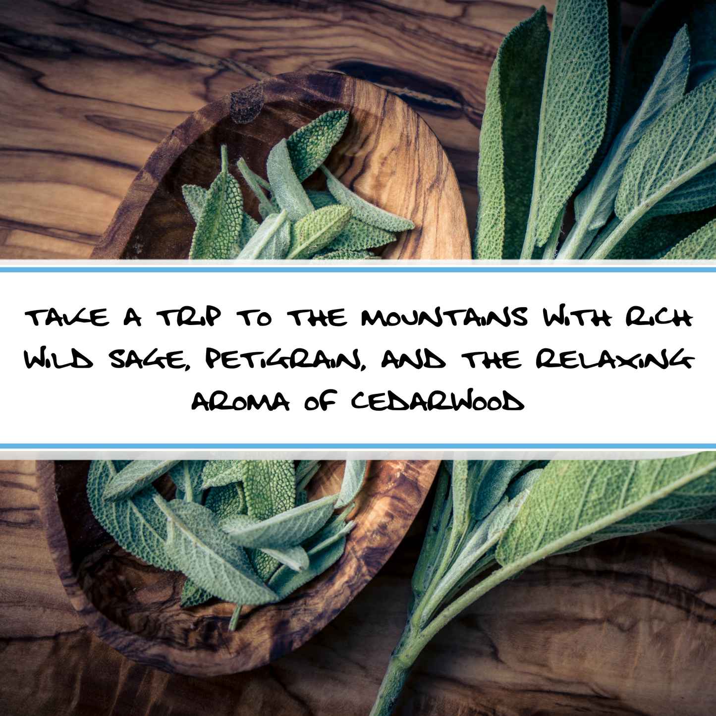 CEDARWOOD + WILD SAGE | Men's Bar Soap