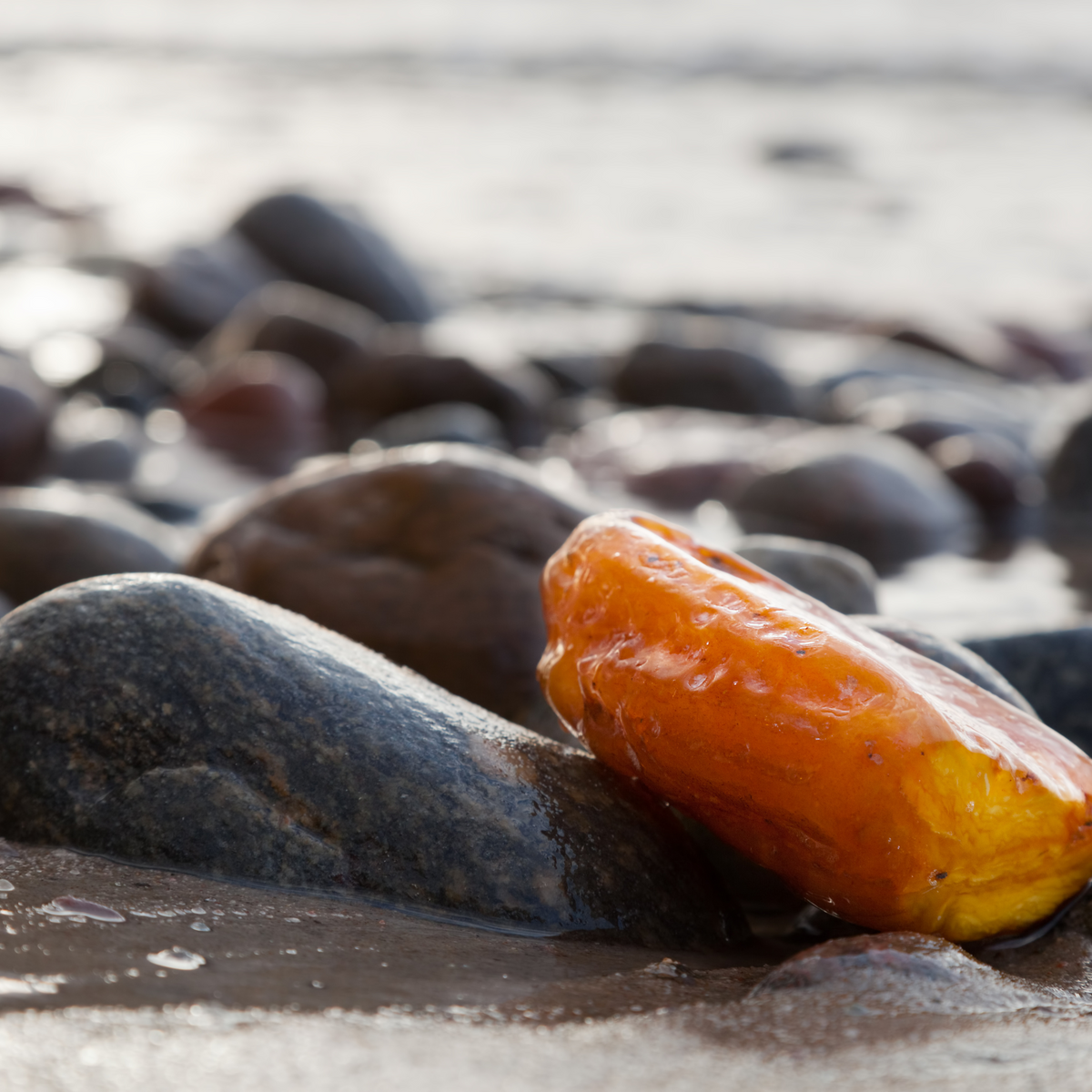 cedar amber perfume handmade perfumes freshly made by artisans