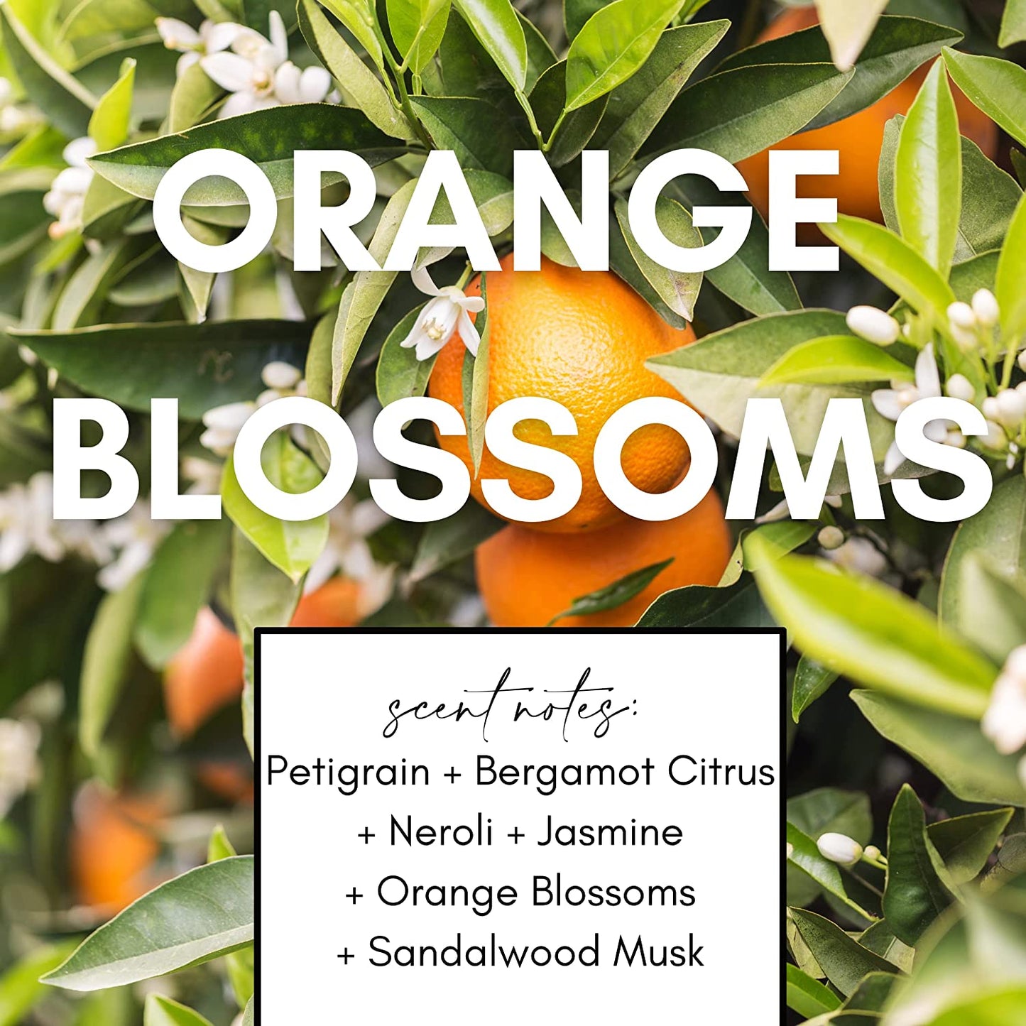Orange Blossoms Candle