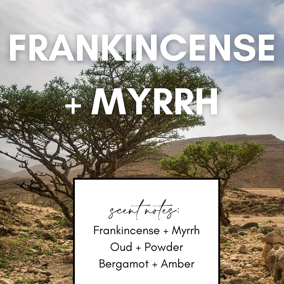 Frankincense & Myrrh Candle