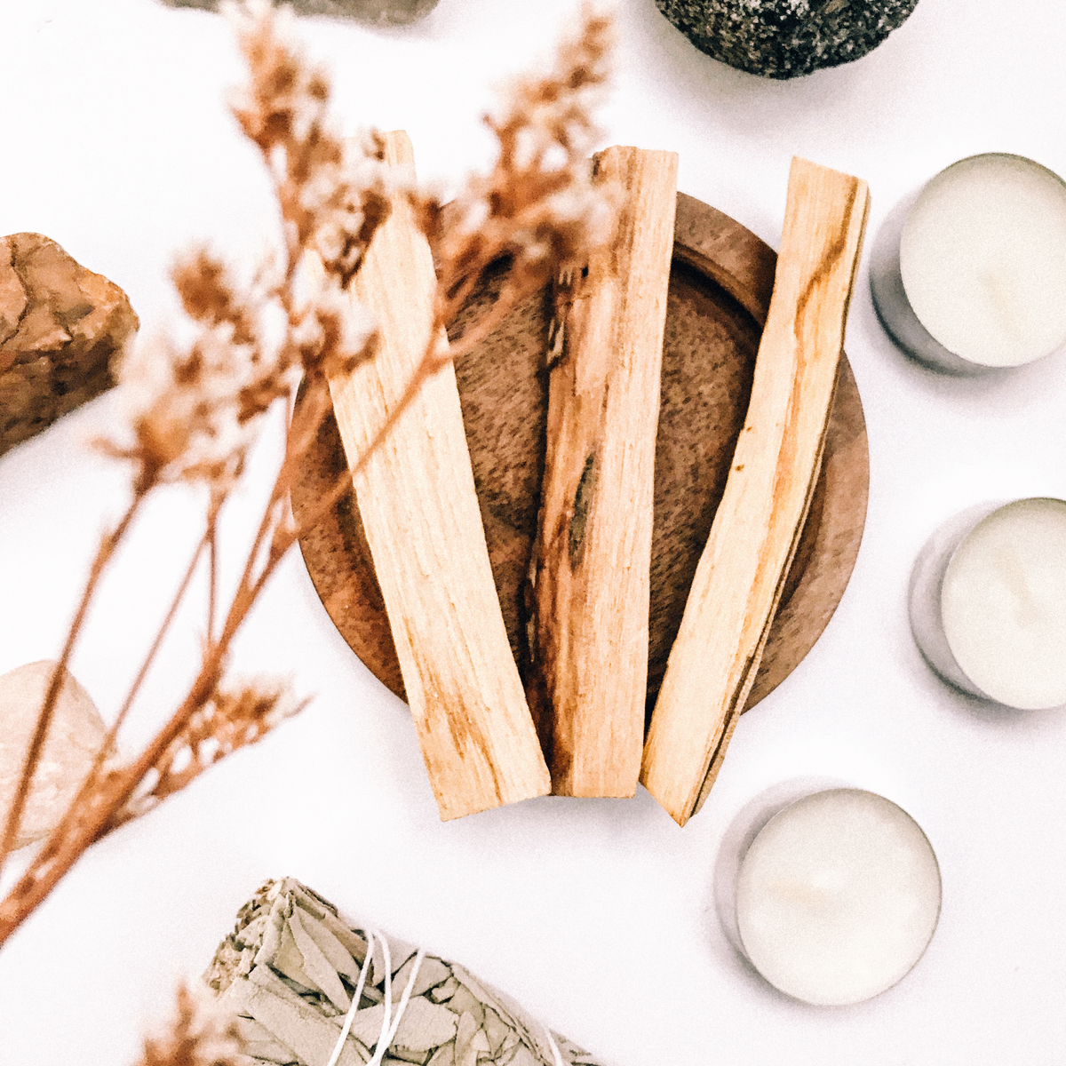 palo santo perfumes for women and men