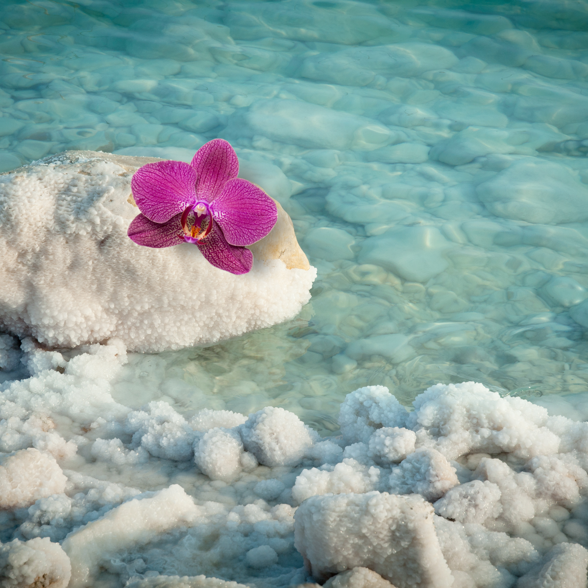 sea salt and orchids perfume spray